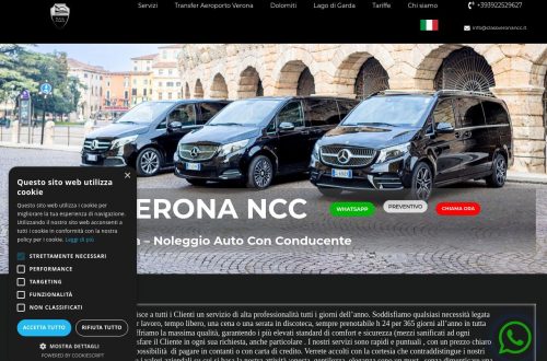 Mercedes-Benz NCC a Verona con autista in attesa dei clienti in aeroporto.